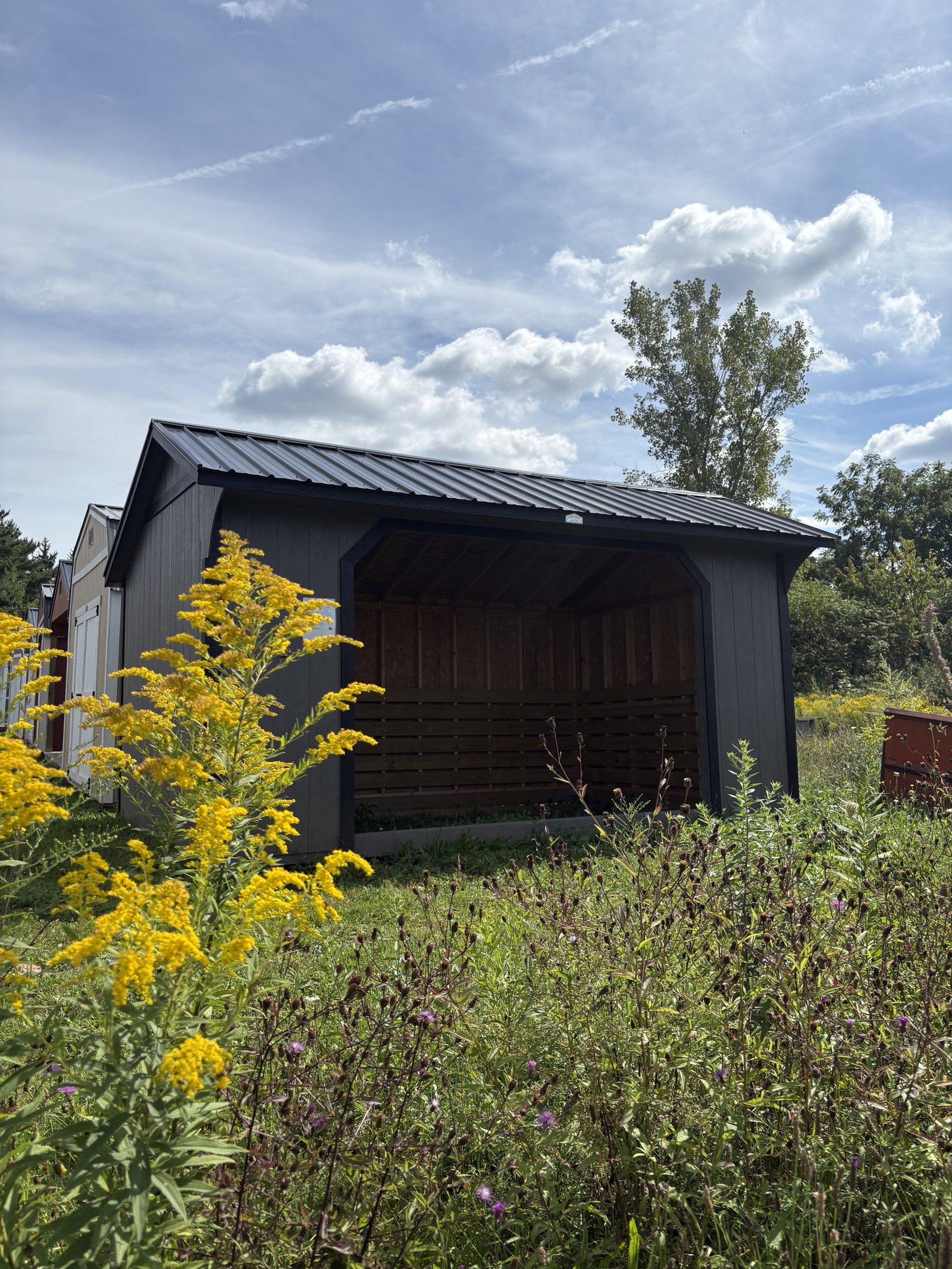 10x16 Run - In Animal Shelter (Limited Warranty)